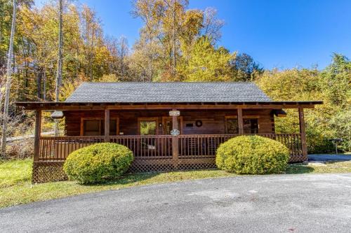 Pigeon Forge House | ER301 - Eagle's Hideaway - Great Location! Close To All The Action! cabin