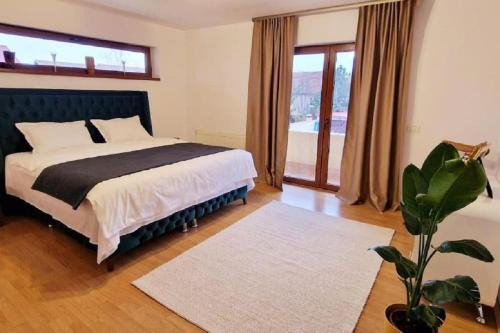 Ghiroda House | Erik's House Apartaments