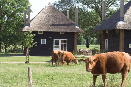 Municipality of Wierden Resort | Erve Woolderink