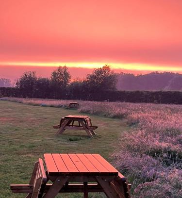 Vorden Other | Erve Zonnehoeve Minicamping en Wijngaard