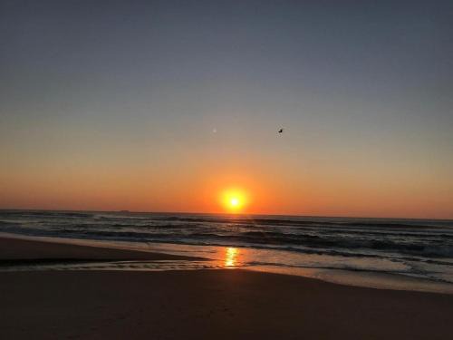 Campeche Central Apartment | Estúdio Aurora no Campeche by Achei