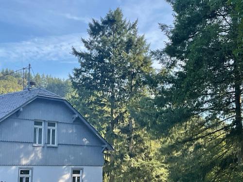 Weilrod Apartment | Etzauer Mühle im Taunus, Suite
