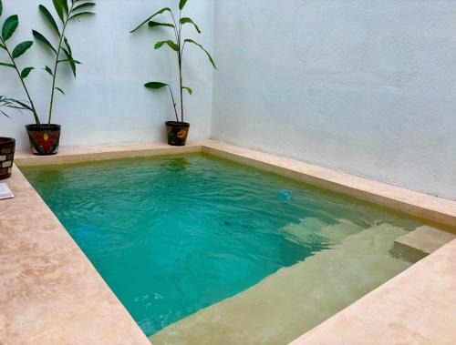 Ciudad Valles House | EXCELENTE ALBERCA PRIVADA EN RESIDENCIAL PRIVADO, GYM, asador