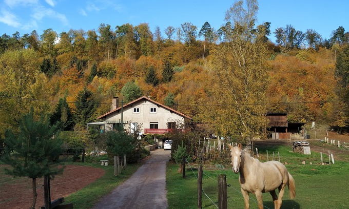 Soucht Cottage | family and spacious cottage in the middle of the forest ideal hikes in the country of bitche