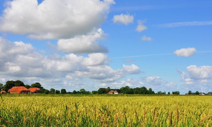 Blomberg House | Family-friendly holiday home in a maize field in a secluded location, dogs allowed.