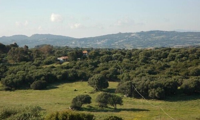 Luogosanto House | Family friendly surroundings, 3,5 ha to discover