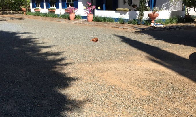 Salto de Pirapora House | Farm in Salto de Pirapora