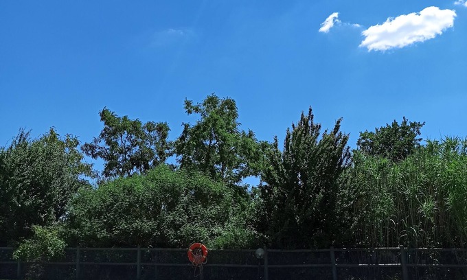 Sovicille Other | Farmhouse in the hills of Siena, exclusive use with pool, large garden, A/C, 8p