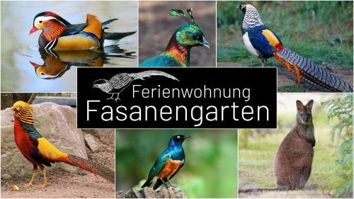 Traunreut Apartment | Fasanengarten in Traunreut