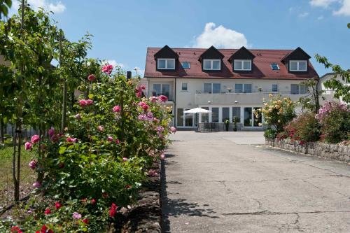 Sommerhausen Hotel | Felshof - Weingut & Gästehaus