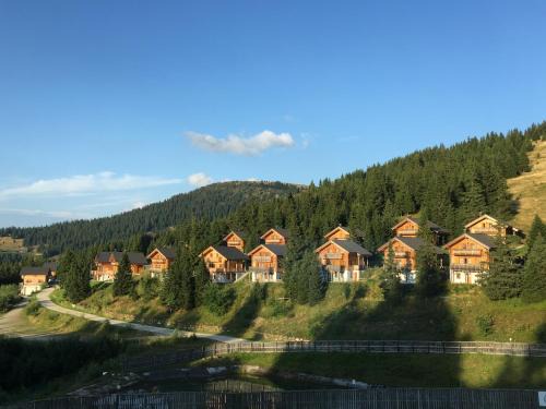 Frantschach-Sankt Gertraud House | Feriendorf Koralpe Alpenrose