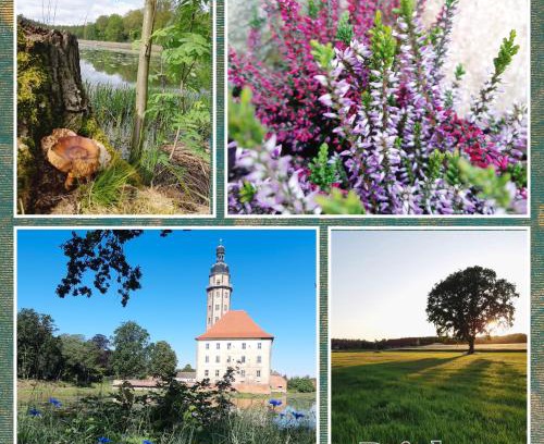 Reinharz House | Ferienhaus Waldblick