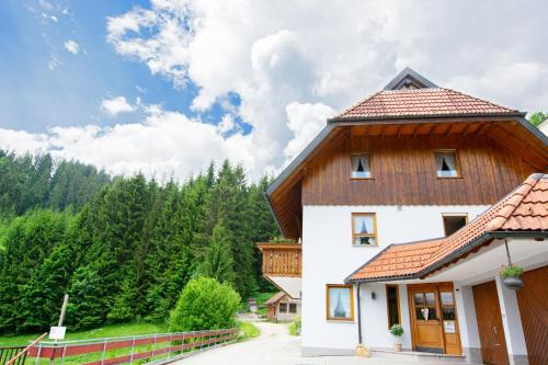 Schonach im Schwarzwald Apartment | Ferienwohnung Birgit