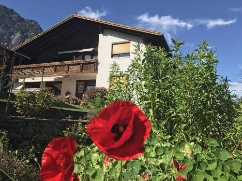 Vandans Apartment | Ferienwohnung Glusavinahüsle