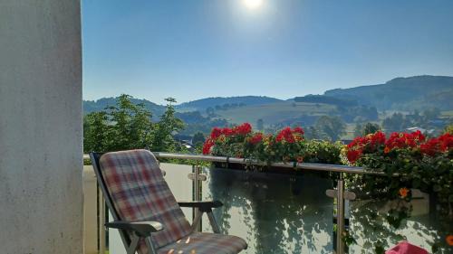 Sundern-Allendorf Apartment | Ferienwohnung mit toller Aussicht