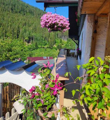 Huzenbach Apartment | Ferienwohnung Schwarzwaldglück