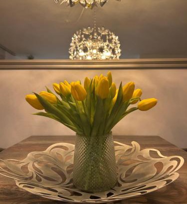 Roschbach Apartment | FERIENWOHNUNG TRUNK direkt an den Weinbergen, Parkplatz, Terrasse mit Grill und Lounge