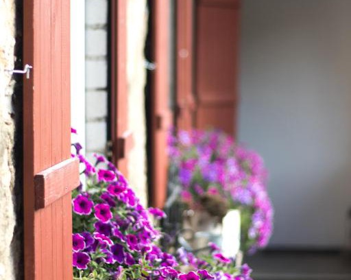 Ostrau Apartment | Ferienwohnung Vogelschar Urlaub auf dem Lebenshof