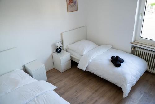 Emsdetten Apartment | FeWo 8P Küche Bad TV WiFi