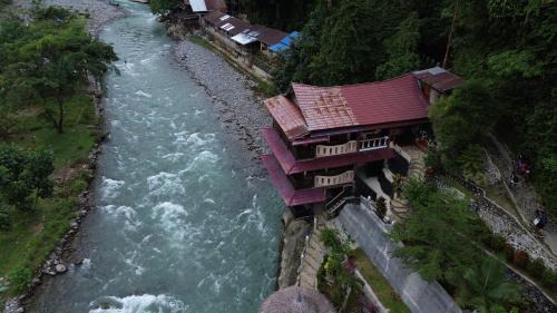 Bukit Lawang House | Fidodido Guesthouse Jungle trekking only book with us if you stay on here