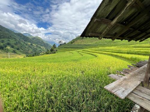 Nam Cang House | Field House SaPa - Nậm Cang