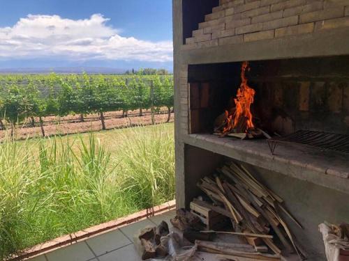 Ugarteche House | Finca, La Joya