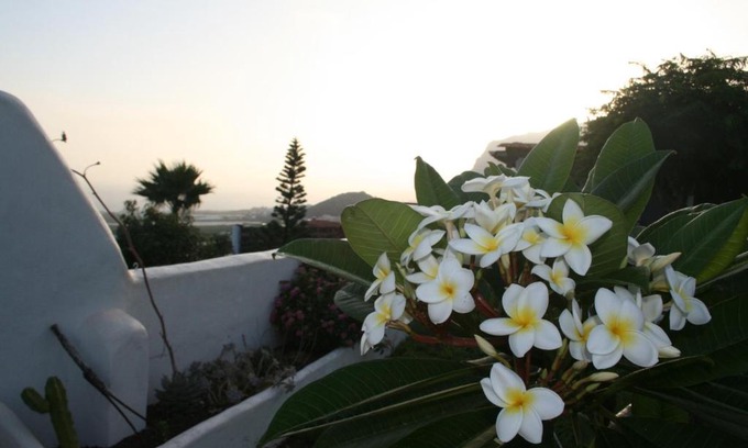 Los Silos House | Finca-Las Mariposas 2