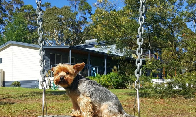 Wandandian Cottage | Finchley, Wandandian NSW - pets welcome