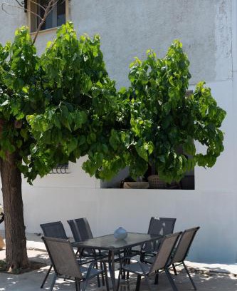 Chalcis Apartment | Fivi