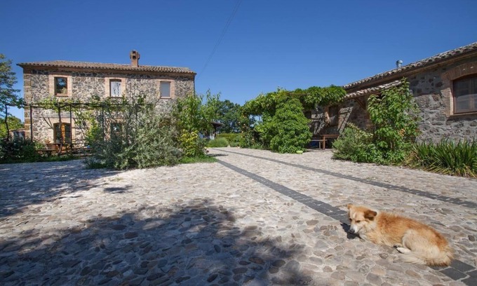 Castel Giorgio Apartment | Flat Walnut
