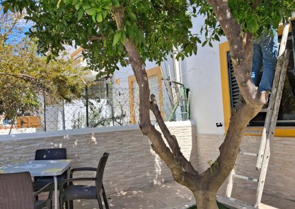 Mertola House | Flor de Laranjeira