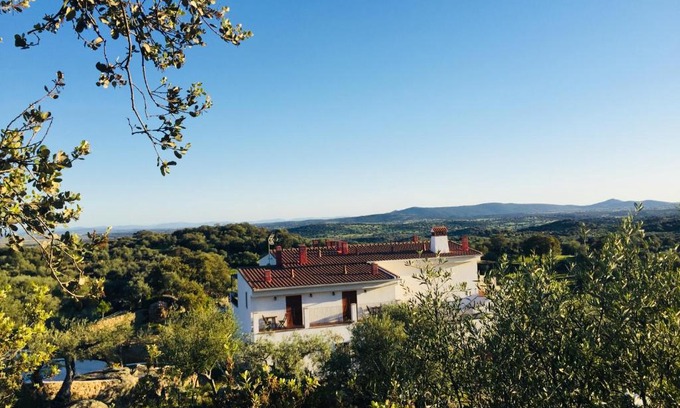 Almoharin Bed & Breakfast | Flores Amarillas B&B