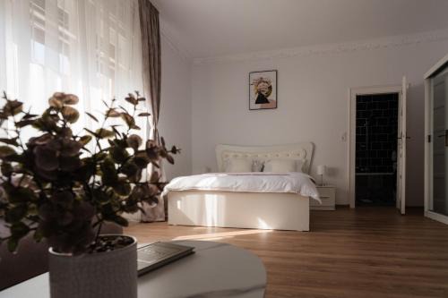 Oradea Apartment | Floris11 Aparthotel Oradea