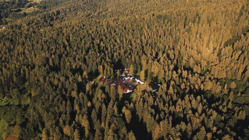 Ronzo-Chienis Hotel | Forest Camp Val di Gresta