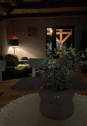 Sighetu Marmatiei Cabin | forest garden