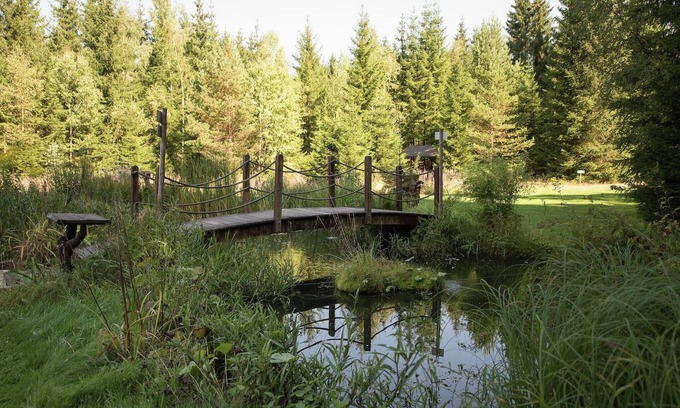 Jagersgrun House | Forest Retreat in Jägersgrün