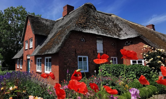 Großmorsum House | Friendly apartment in a historic thatched house from 1854!