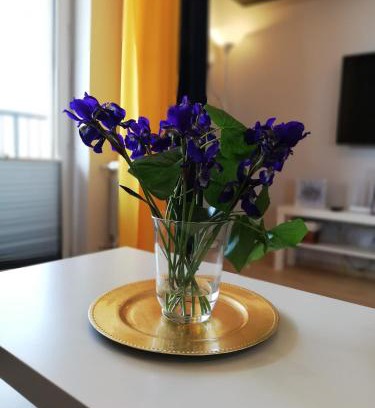 Zator Apartment | Froja