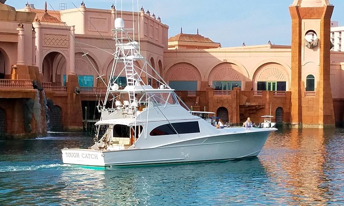 Paradise Island Resort | Full access to Atlantis water park