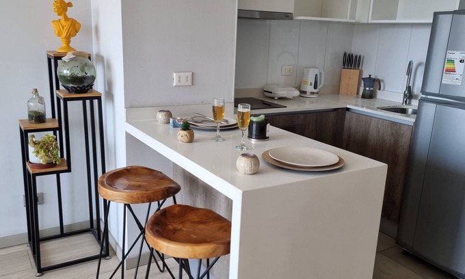 Santiago Apartment | Fully-equipped 1BR/1BA Family Apartment near Downtown Santiago Wifi - Gym