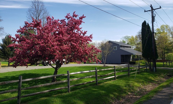 Watkins Glen House | Fully Renovated rural cottage in the perfect spot!