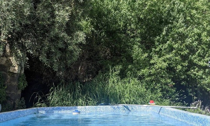 Rosh Pinna Apartment | Galilee courtyard garden room in Rosh Pinna