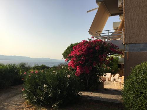 Lassi Apartment | Galini Studios and Apartments