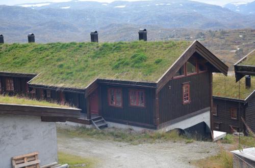 Vinje Apartment | Gamlestøyl 30D, Haukeli Vågslid