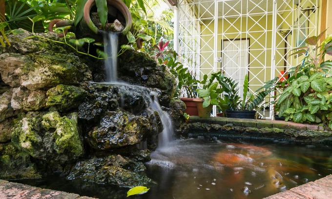 Eastwood Park Apartment | Garden of Bliss#2, RedHill Fishpond, Kingston