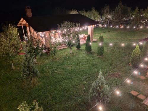 Vanatorii Mici Cabin | Garden Pypa