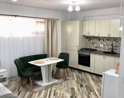 Ramnicu Valcea Apartment | Garsonieră- Bulevard Dem Rădulescu