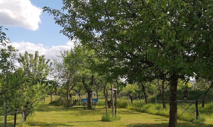 Calau Apartment | Gemütliche Ferienwohnung im Vogelhaus mit Dachterasse, Großem Garten und Sauna