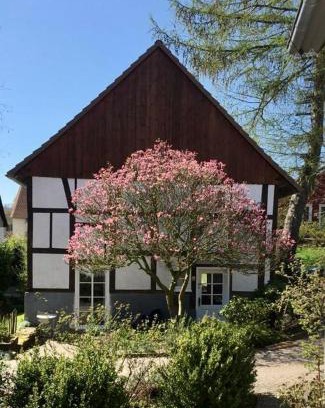 Extertal House | Gemütliches Ferienhaus im Extertal/Lippe