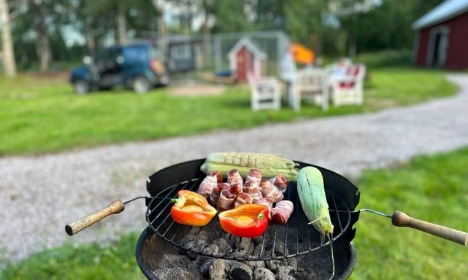 Hagfors Municipality Villa | Gezellig Zweeds Huis in het bos met Ruime Tuin